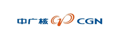 客户 中广核集团代码安全审计<br/>能力建设方